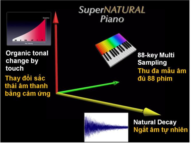 hình ảnh lấy tại hệ thống pianosolna.com
