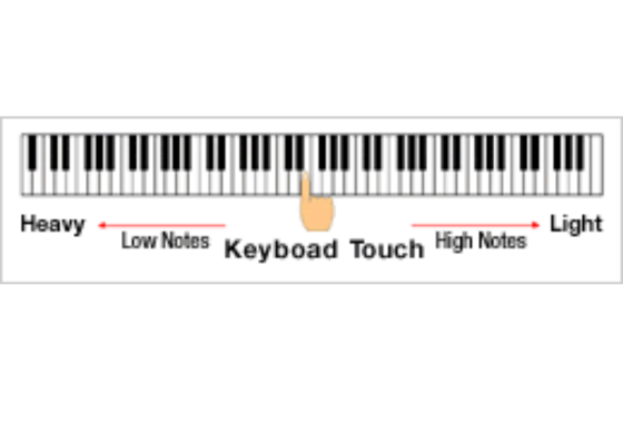 hình ảnh lấy từ hệ thông đàn pianosolna.com