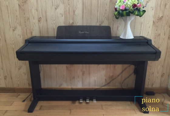 hệ thống cung cấp piano  chính hãng uy tin chất lượng 