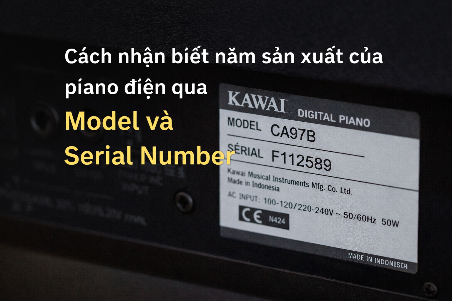 Cách nhận biết năm sản xuất của piano điện qua Model và Serial Number
