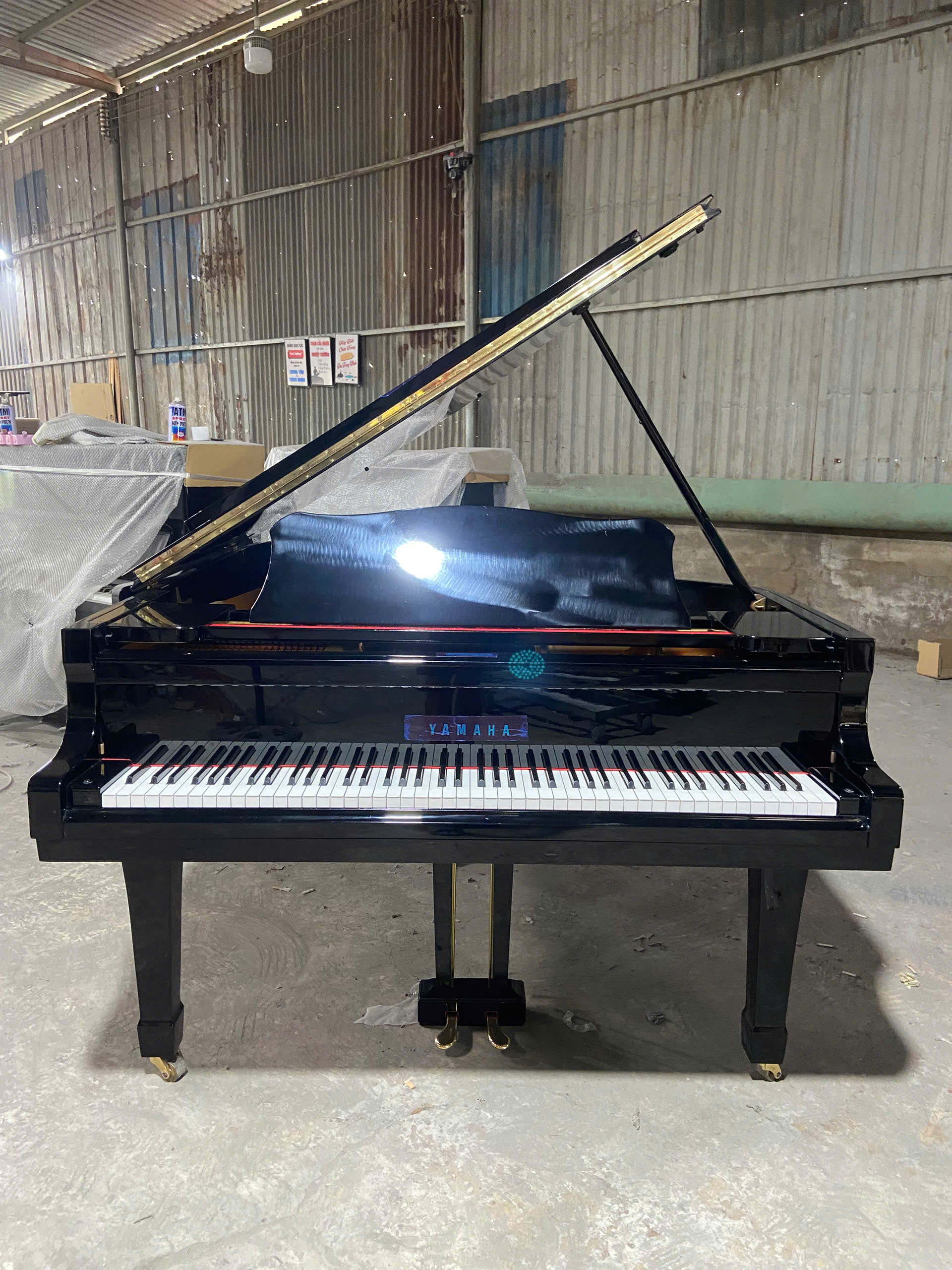 Grand Piano Yamaha C3B